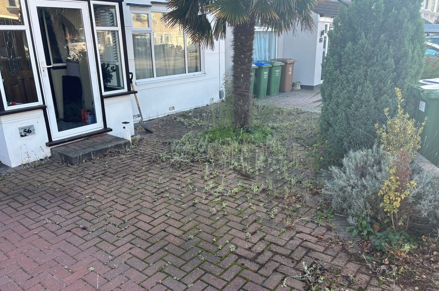 Before -
